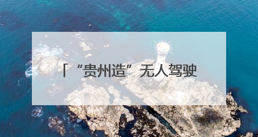 “贵州造”无人驾驶小巴，开启黄果树小黄鸭漂流智慧之旅