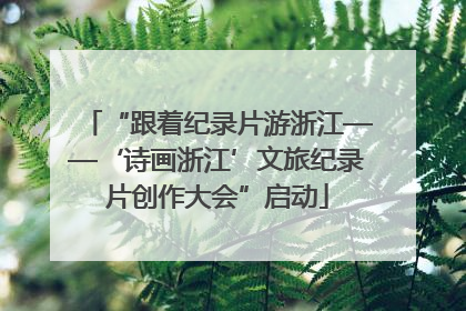 “跟着纪录片游浙江——‘诗画浙江’文旅纪录片创作大会”启动