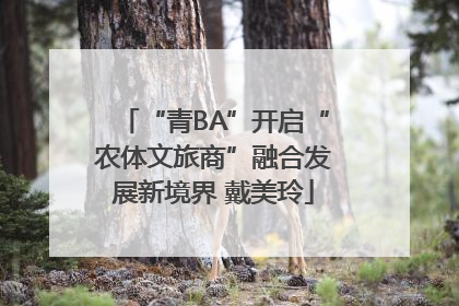 “青BA”开启“农体文旅商”融合发展新境界 戴美玲