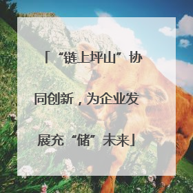 “链上坪山”协同创新，为企业发展充“储”未来