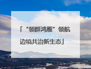 “领群鸿雁”领航边境共治新生态