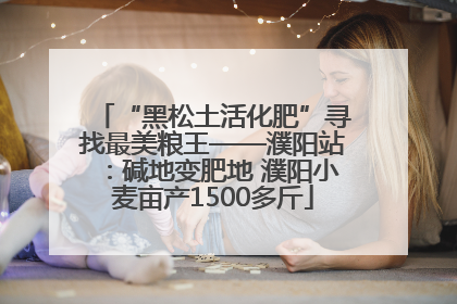“黑松土活化肥”寻找最美粮王——濮阳站：碱地变肥地 濮阳小麦亩产1500多斤