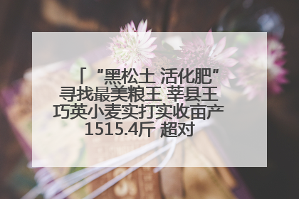 “黑松土 活化肥”寻找最美粮王 莘县王巧英小麦实打实收亩产1515.4斤 超对照田144斤！