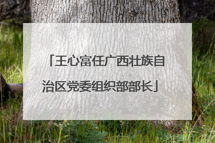 王心富任广西壮族自治区党委组织部部长