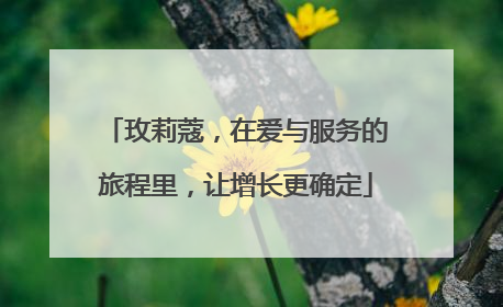 玫莉蔻，在爱与服务的旅程里，让增长更确定