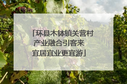 环县木钵镇关营村 产业融合引客来 宜居宜业更宜游