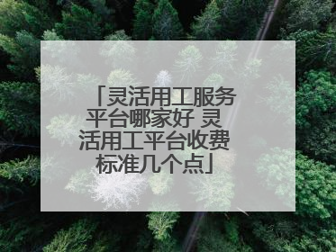 灵活用工服务平台哪家好 灵活用工平台收费标准几个点