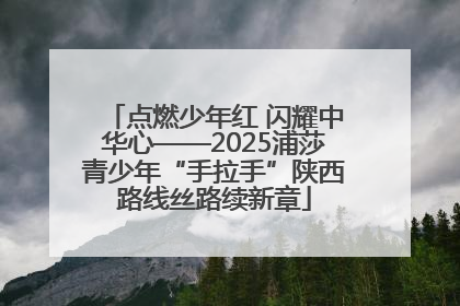 点燃少年红 闪耀中华心——2025浦莎青少年“手拉手”陕西路线丝路续新章