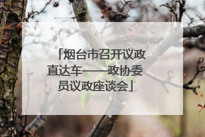 烟台市召开议政直达车——政协委员议政座谈会