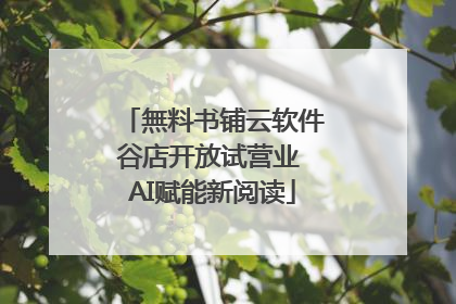 無料书铺云软件谷店开放试营业 AI赋能新阅读