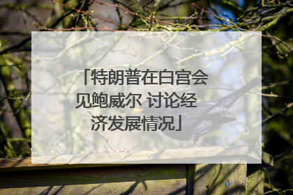 特朗普在白宫会见鲍威尔 讨论经济发展情况