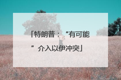 特朗普：“有可能”介入以伊冲突