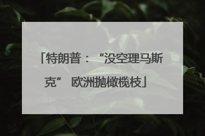 特朗普：“没空理马斯克” 欧洲抛橄榄枝