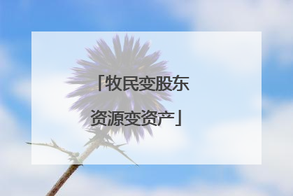牧民变股东 资源变资产