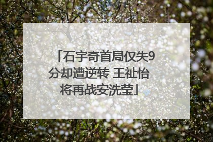 石宇奇首局仅失9分却遭逆转 王祉怡将再战安洗莹