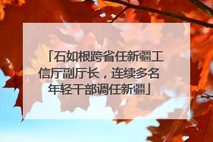 石如根跨省任新疆工信厅副厅长，连续多名年轻干部调任新疆