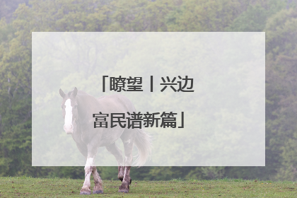 瞭望丨兴边富民谱新篇