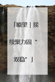 瞭望｜接续聚力固“双稳”