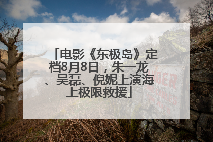 电影《东极岛》定档8月8日，朱一龙、吴磊、倪妮上演海上极限救援