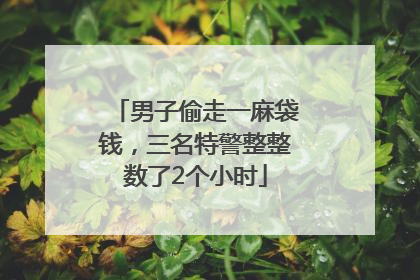 男子偷走一麻袋钱，三名特警整整数了2个小时