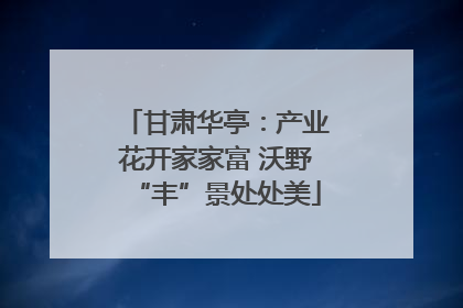 甘肃华亭：产业花开家家富 沃野“丰”景处处美