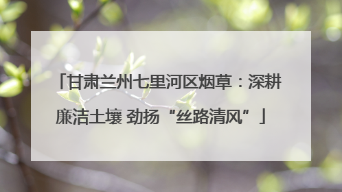 甘肃兰州七里河区烟草：深耕廉洁土壤 劲扬“丝路清风”
