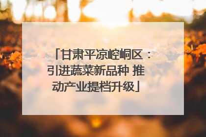 甘肃平凉崆峒区：引进蔬菜新品种 推动产业提档升级