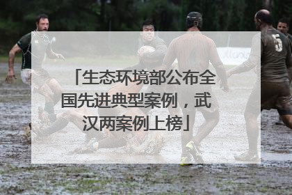 生态环境部公布全国先进典型案例，武汉两案例上榜