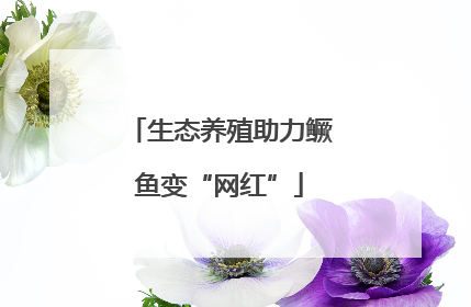 生态养殖助力鳜鱼变“网红”