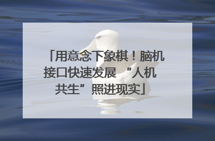 用意念下象棋！脑机接口快速发展 “人机共生”照进现实