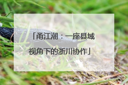 甬江潮：一座县域视角下的浙川协作