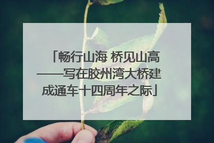 畅行山海 桥见山高——写在胶州湾大桥建成通车十四周年之际