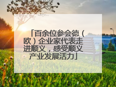 百余位参会德（欧）企业家代表走进顺义，感受顺义产业发展活力