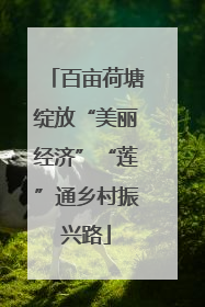 百亩荷塘绽放“美丽经济”“莲”通乡村振兴路