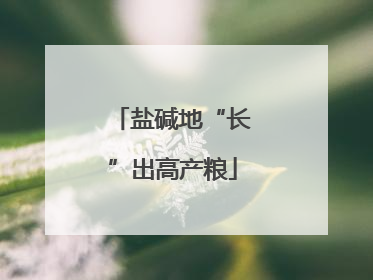盐碱地“长”出高产粮