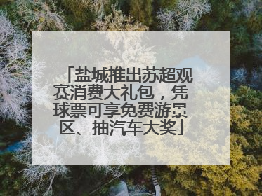 盐城推出苏超观赛消费大礼包，凭球票可享免费游景区、抽汽车大奖