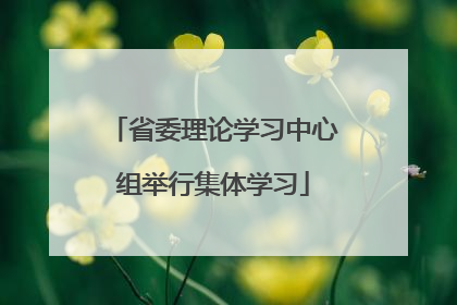 省委理论学习中心组举行集体学习