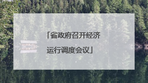 省政府召开经济运行调度会议