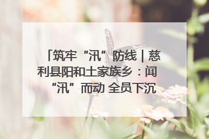 筑牢“汛”防线｜慈利县阳和土家族乡：闻“汛”而动 全员下沉筑牢防汛“安全堤”