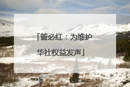 管必红：为维护华社权益发声