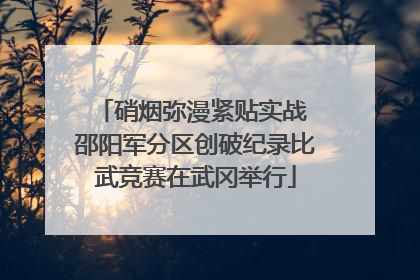 硝烟弥漫紧贴实战 邵阳军分区创破纪录比武竞赛在武冈举行