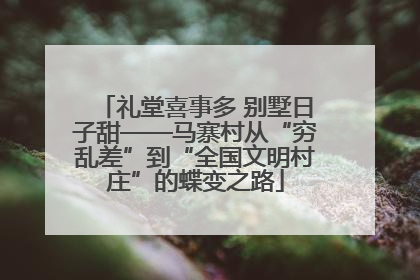 礼堂喜事多 别墅日子甜——马寨村从“穷乱差”到“全国文明村庄”的蝶变之路