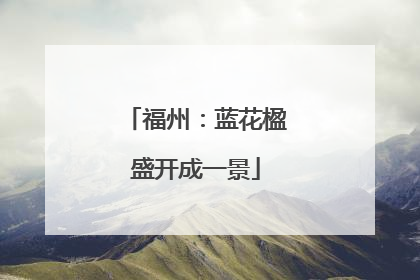 福州：蓝花楹盛开成一景