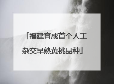 福建育成首个人工杂交早熟黄桃品种