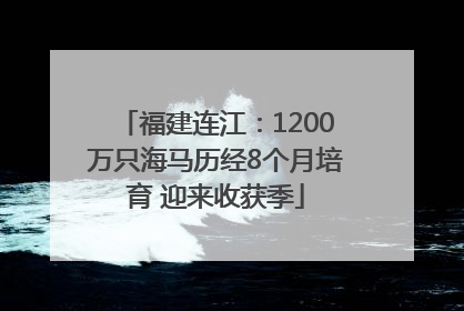 福建连江：1200万只海马历经8个月培育 迎来收获季