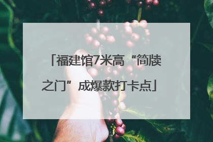 福建馆7米高“简牍之门”成爆款打卡点