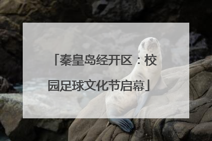 秦皇岛经开区：校园足球文化节启幕