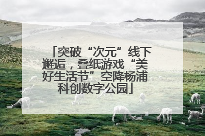 突破“次元”线下邂逅，叠纸游戏“美好生活节”空降杨浦科创数字公园