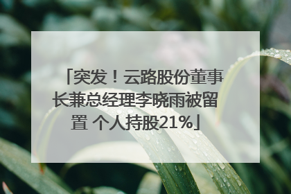 突发！云路股份董事长兼总经理李晓雨被留置 个人持股21%
