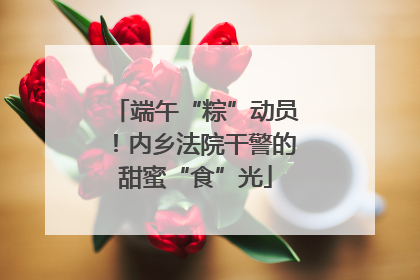 端午“粽”动员！内乡法院干警的甜蜜“食”光